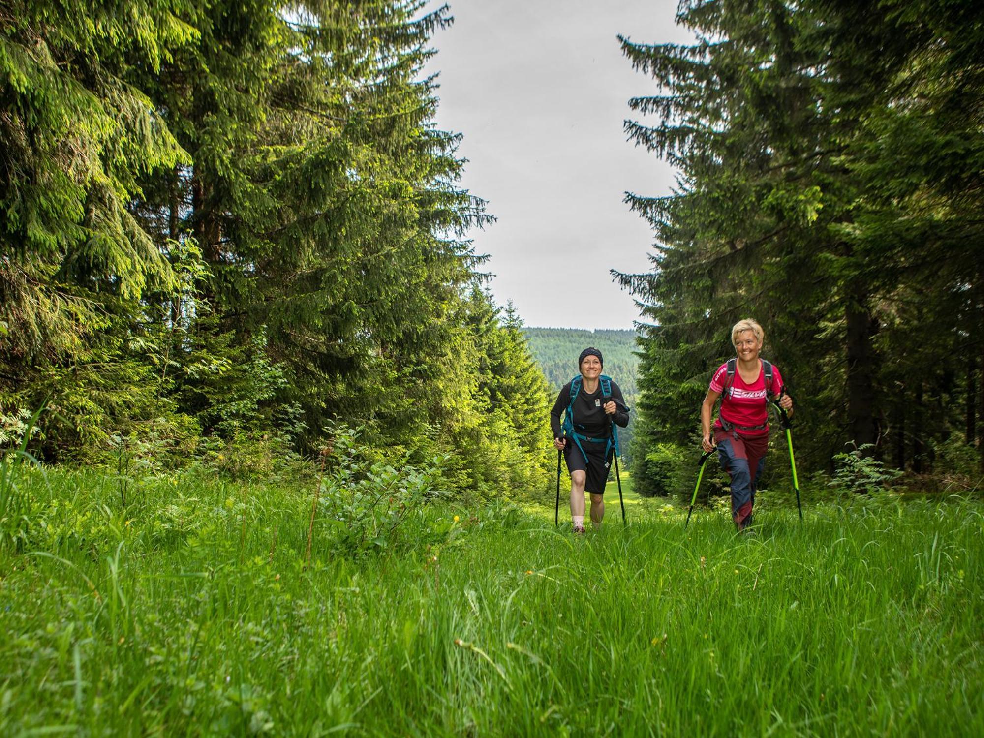 K1 Sporthotel - Bike & Ski Inklusive Hotel Oberwiesenthal Zewnętrze zdjęcie