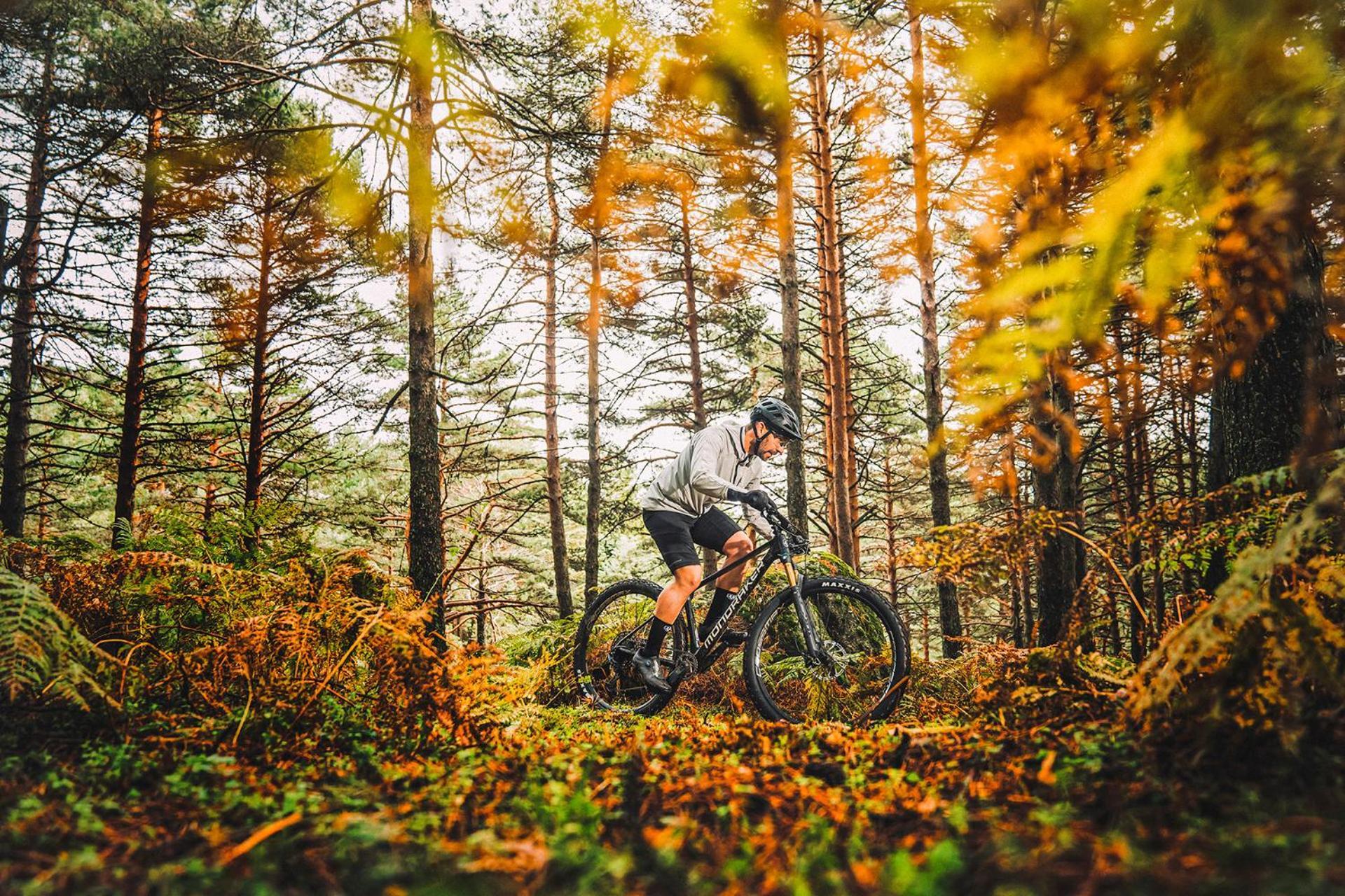 K1 Sporthotel - Bike & Ski Inklusive Hotel Oberwiesenthal Zewnętrze zdjęcie